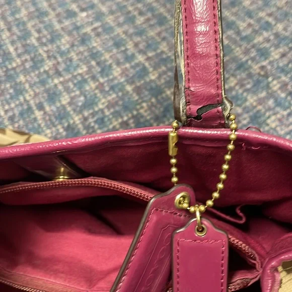 Used Coach Signature Python Stripe Carry-All